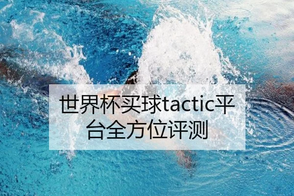世界杯买球tactic平台全方位评测