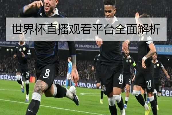世界杯直播观看平台全面解析